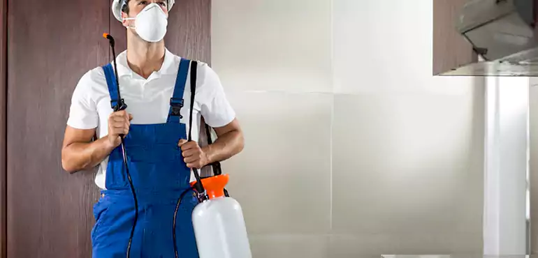 Why Escondido Homeowners Choose Us When Pests Make Selling Difficult